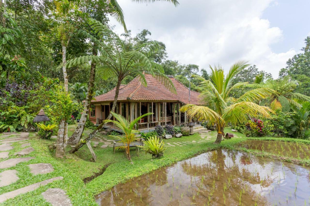 Station touristique Prana Dewi Mountain 4*