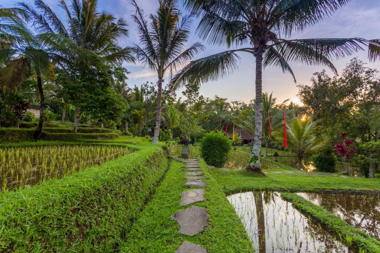 Prana Dewi Mountain Station touristique