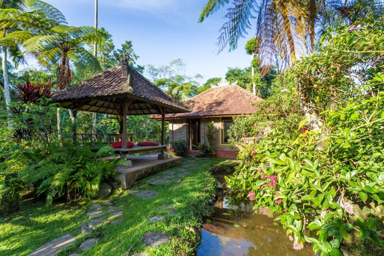 Station touristique Prana Dewi Mountain 4*